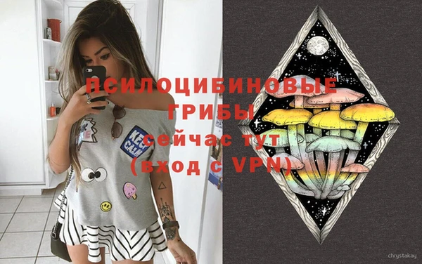 мяу мяу кристалл Ельня